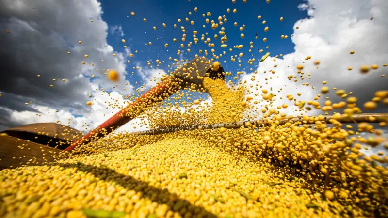 Produção agrícola brasileira superou R$ 927 bilhões em 2025