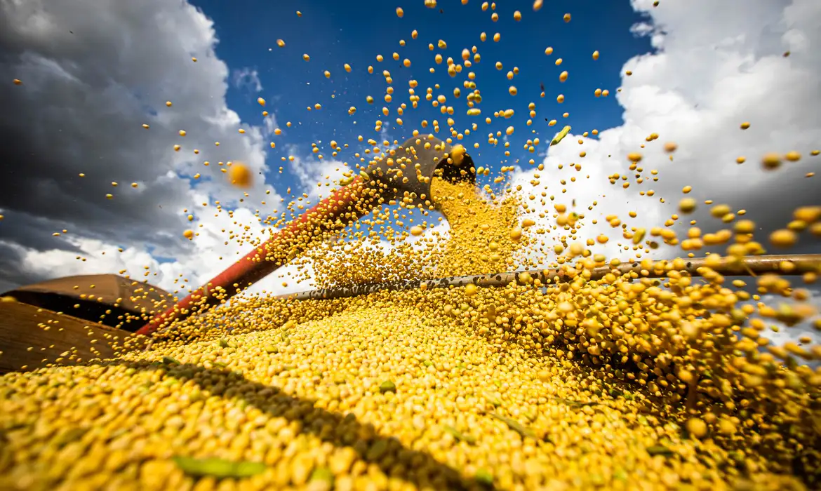 Produção agrícola brasileira superou R$ 927 bilhões em 2025