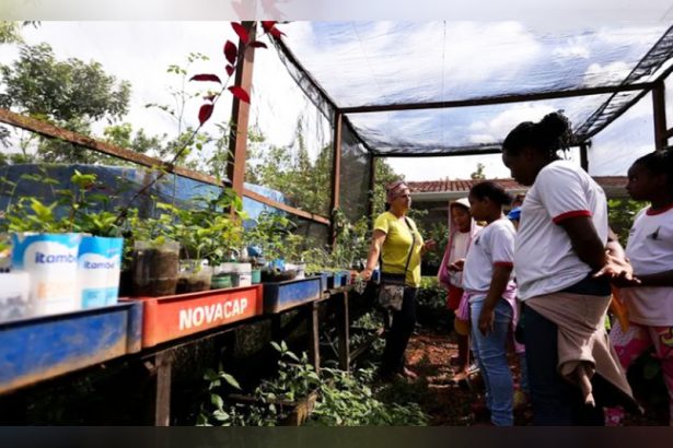Política de educação ambiental para estudantes do ensino infantil ao médio é instituída