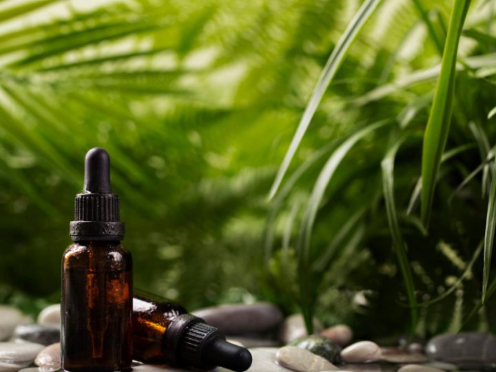 Natural não é inofensivo: fitoterápicos para ansiedade exigem cuidados