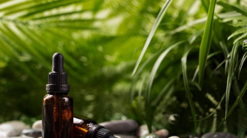 Natural não é inofensivo: fitoterápicos para ansiedade exigem cuidados