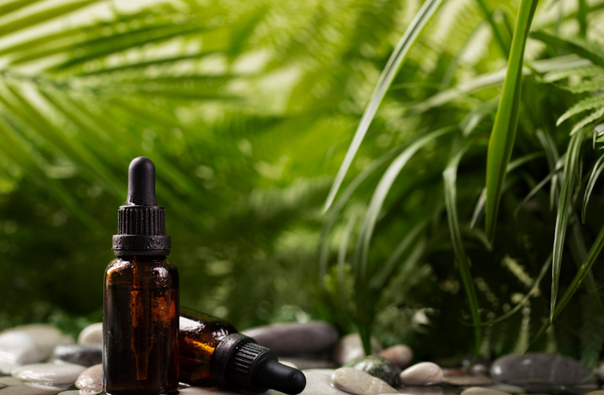 Natural não é inofensivo: fitoterápicos para ansiedade exigem cuidados
