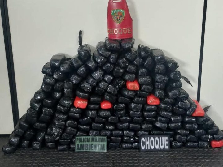 Base Arpão 1: Forças de Segurança apreendem 90 kg de drogas durante fiscalização em ferryboat