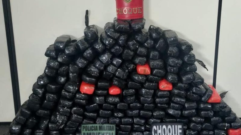 Base Arpão 1: Forças de Segurança apreendem 90 kg de drogas durante fiscalização em ferryboat