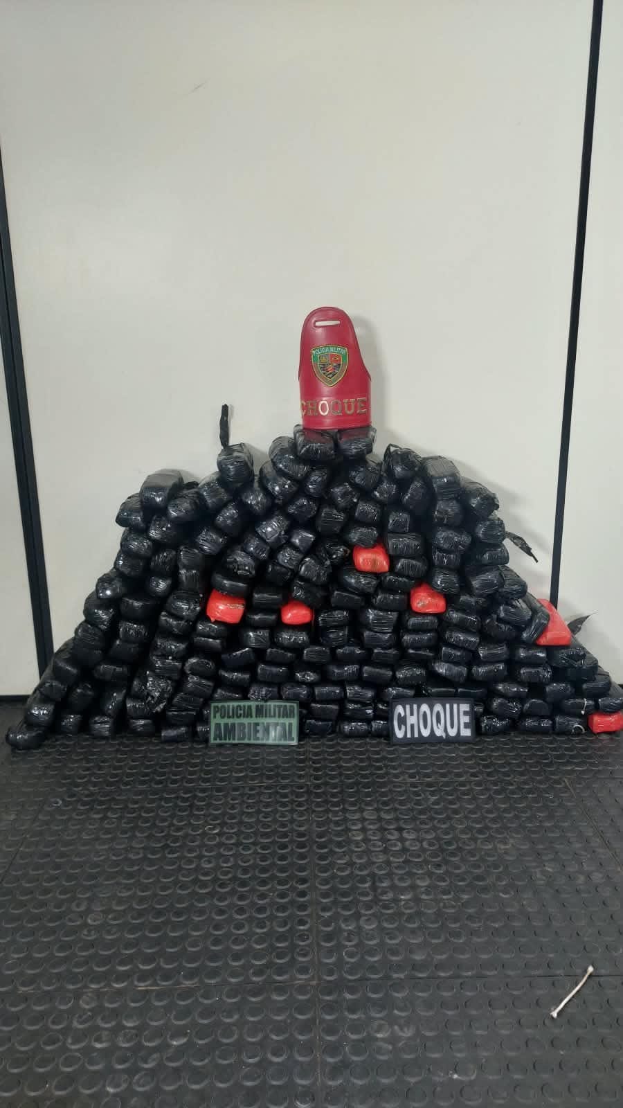 Base Arpão 1: Forças de Segurança apreendem 90 kg de drogas durante fiscalização em ferryboat