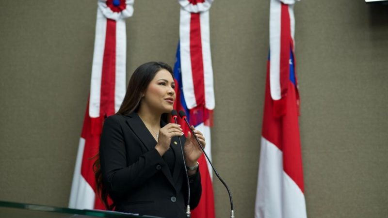 Brena Dianná defende jornada especial de trabalho para mulheres lactantes no Amazonas