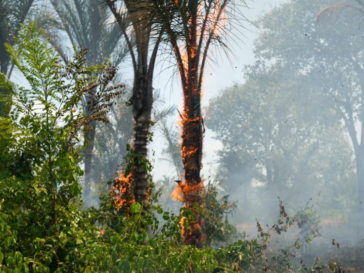 Candidato a vice da Professora Maria, Coronel Aníbal comanda combate a incêndio na Vila do Engenho durante visita