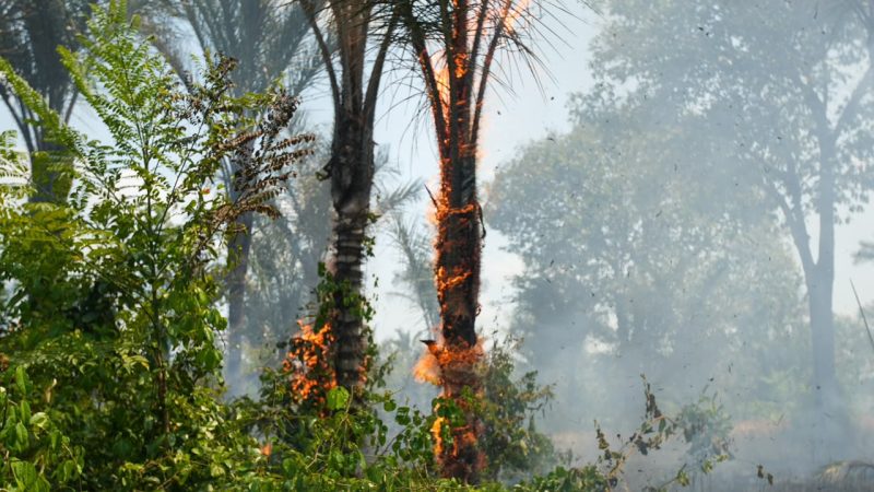 Candidato a vice da Professora Maria, Coronel Aníbal comanda combate a incêndio na Vila do Engenho durante visita