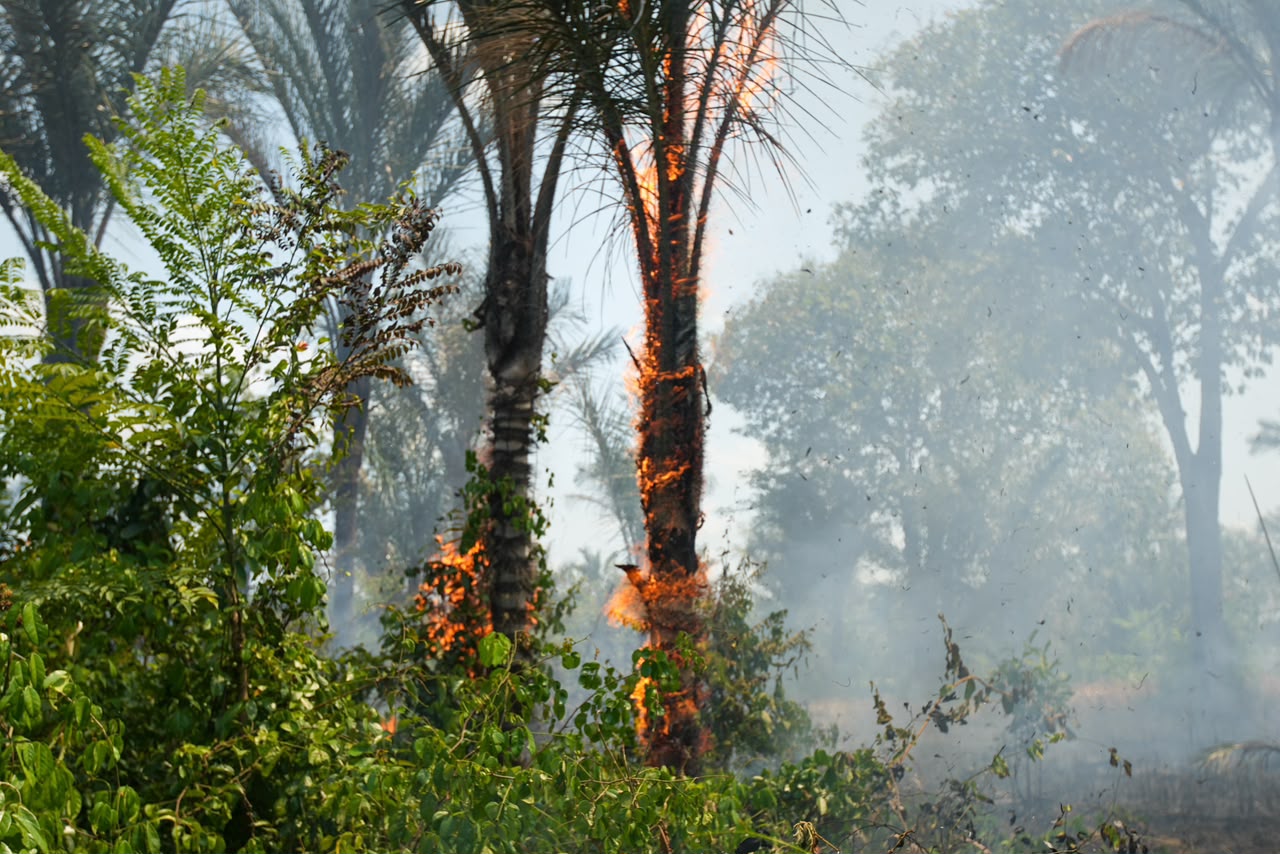 Candidato a vice da Professora Maria, Coronel Aníbal comanda combate a incêndio na Vila do Engenho durante visita