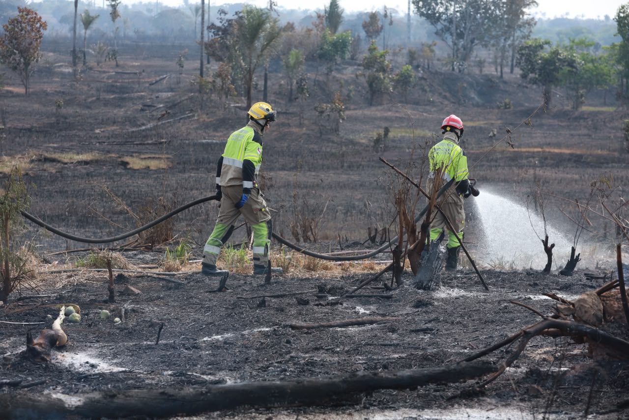 Corpo de Bombeiros controla incêndio de grandes proporções na AM-070, em Iranduba