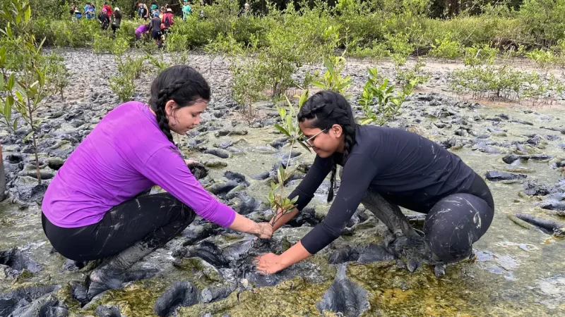 Inscrição de trabalhos no Fórum de Educação Ambiental termina dia 30