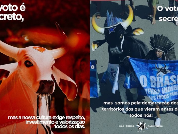 Após primeiro turno, Garantido e Caprichoso fazem posts com defesa da Amazônia e referências à pandemia