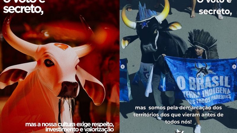 Após primeiro turno, Garantido e Caprichoso fazem posts com defesa da Amazônia e referências à pandemia
