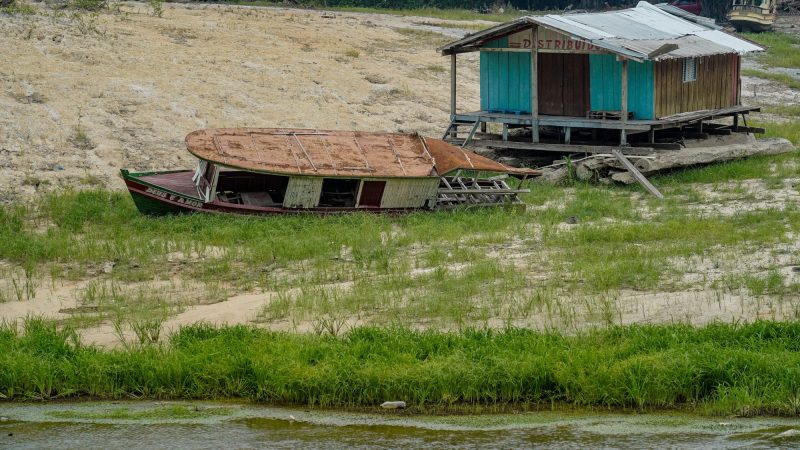 Níveis estão dentro da normalidade no rio Negro e em outros rios da Bacia do Amazonas