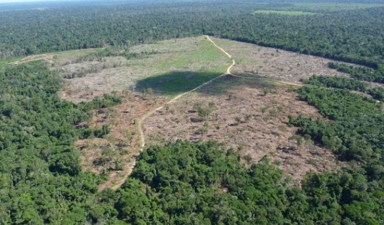 Desmatamento na Amazônia atinge menor nível em 41 anos