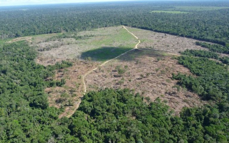 Desmatamento na Amazônia atinge menor nível em 41 anos