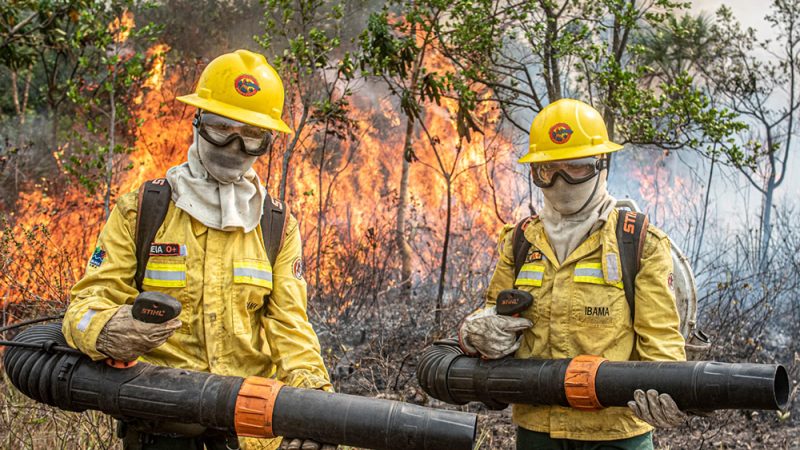 Amazonas intensifica combate a queimadas e registra 11 prisões em Autazes