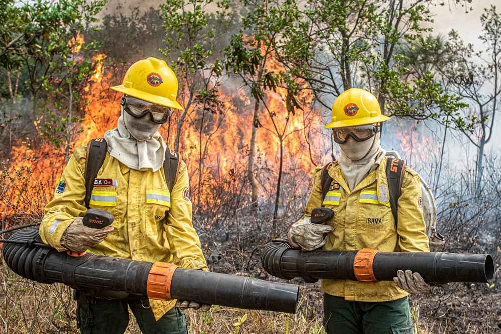 Amazonas intensifica combate a queimadas e registra 11 prisões em Autazes