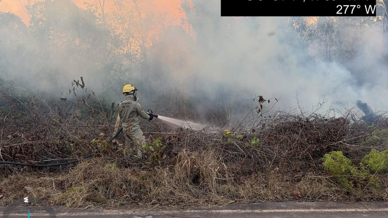 Bombeiros extinguem incêndio em vegetação na rodovia AM-254