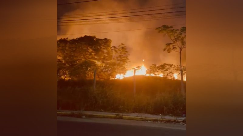 Incêndio em vegetação de Iranduba atinge área de 600 campos de futebol