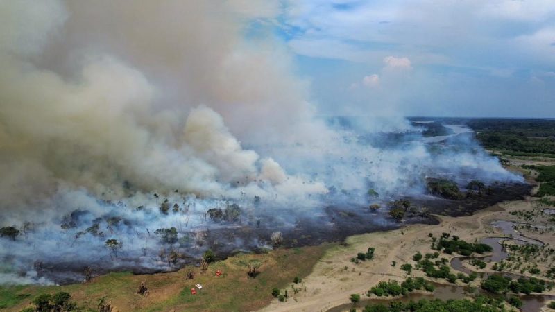 Incêndio em área de mata de Itacoatiara completa 17 dias e atinge mais de 1,3 mil hectares