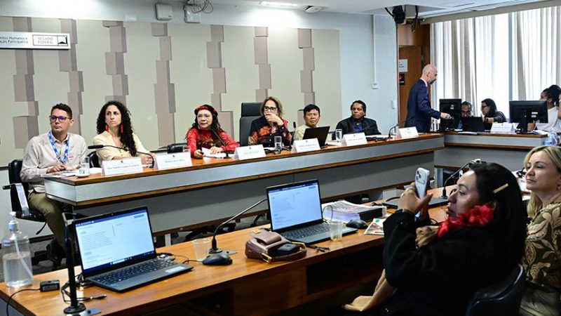 Lideranças ianomâmis cobram proteção e continuidade de ações ambientais