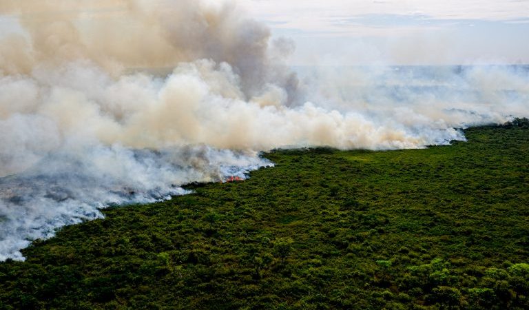 Medida provisória abre crédito extra de R$ 300 milhões para combate a incêndios na Amazônia