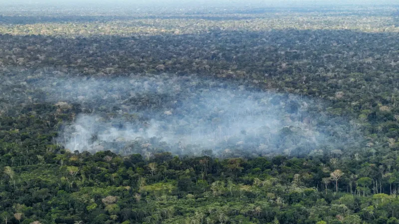 Estudo aponta atividade humana nas emissões de carbono na Amazônia