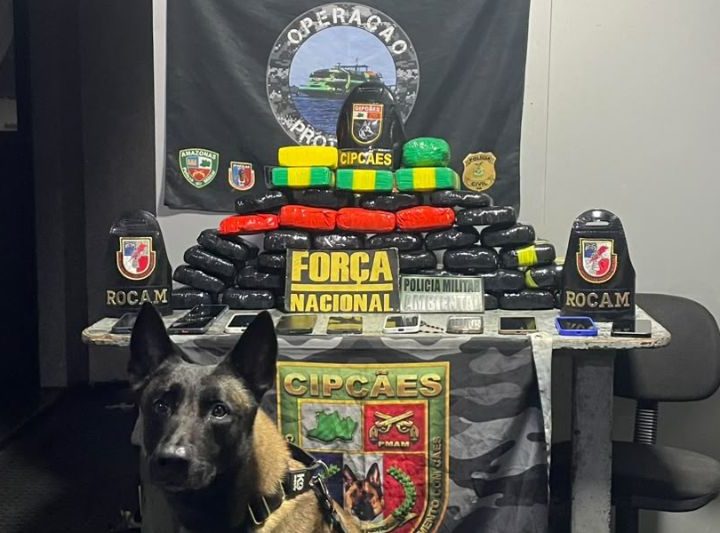 Cão fareja malas e policiais encontram pasta-base de cocaína sob assoalho de lancha