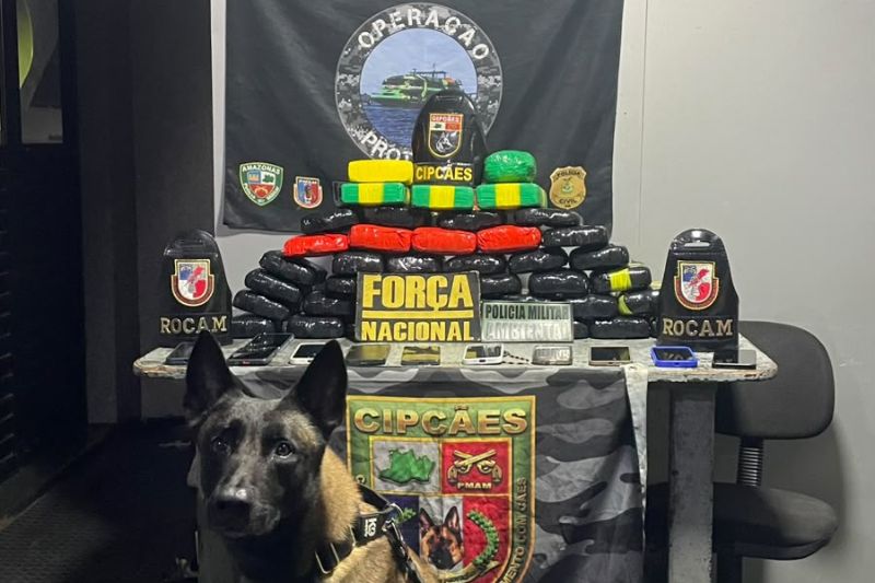 Cão fareja malas e policiais encontram pasta-base de cocaína sob assoalho de lancha