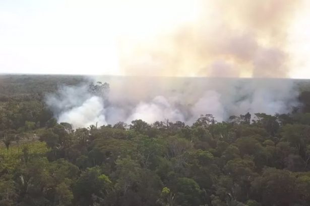 Juíza cobra explicação de governos sobre queimadas na Amazônia
