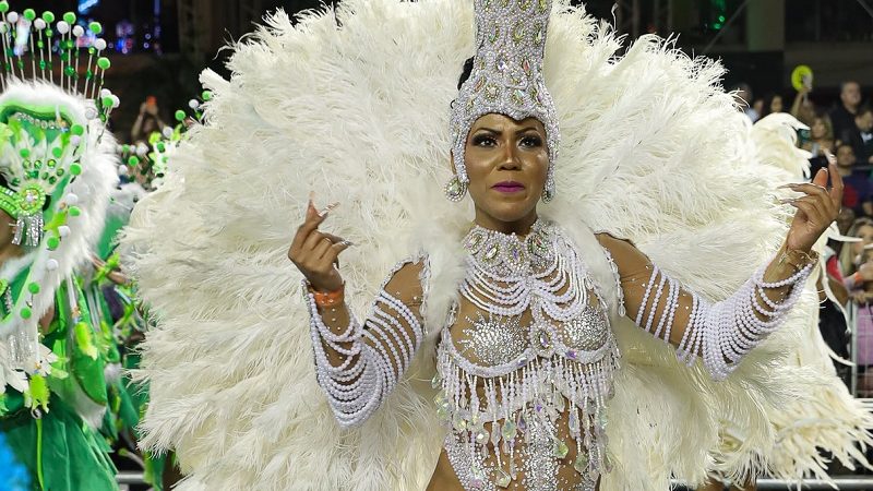 Comissão aprova projeto que proíbe penas e plumas de animais em fantasias