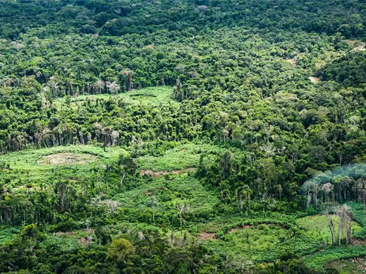 Plataforma pan-amazônica reúne 232 políticas públicas para bioeconomia