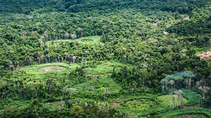 Plataforma pan-amazônica reúne 232 políticas públicas para bioeconomia